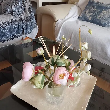 Casa Coqueta Con Jardin *